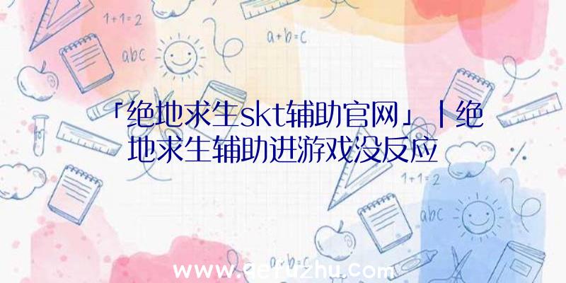 「绝地求生skt辅助官网」|绝地求生辅助进游戏没反应